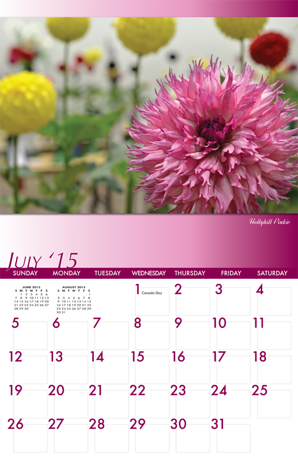 Hello Dahlia! Calendar Photo
